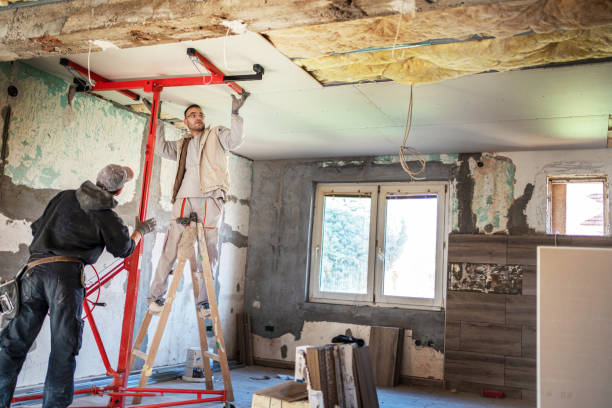 Best Specialized Insulation Services in Merriam Woods, MO
