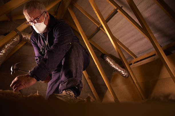 Reliable Merriam Woods, MO Insulation Contractor Solutions