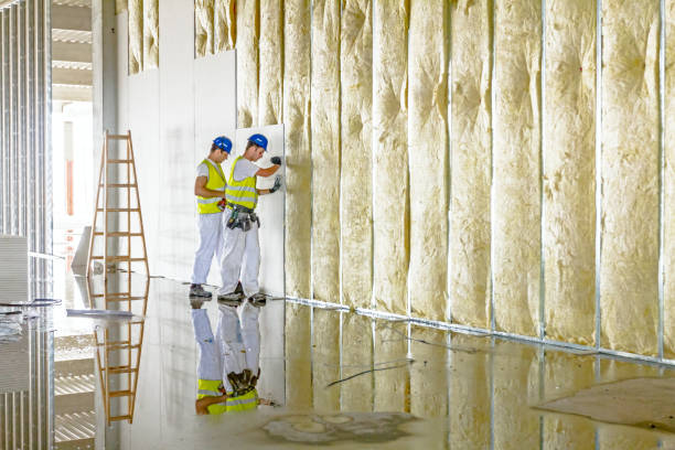 Best Cellulose Insulation in Merriam Woods, MO